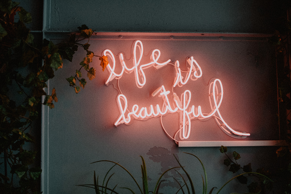 Blog Post 2